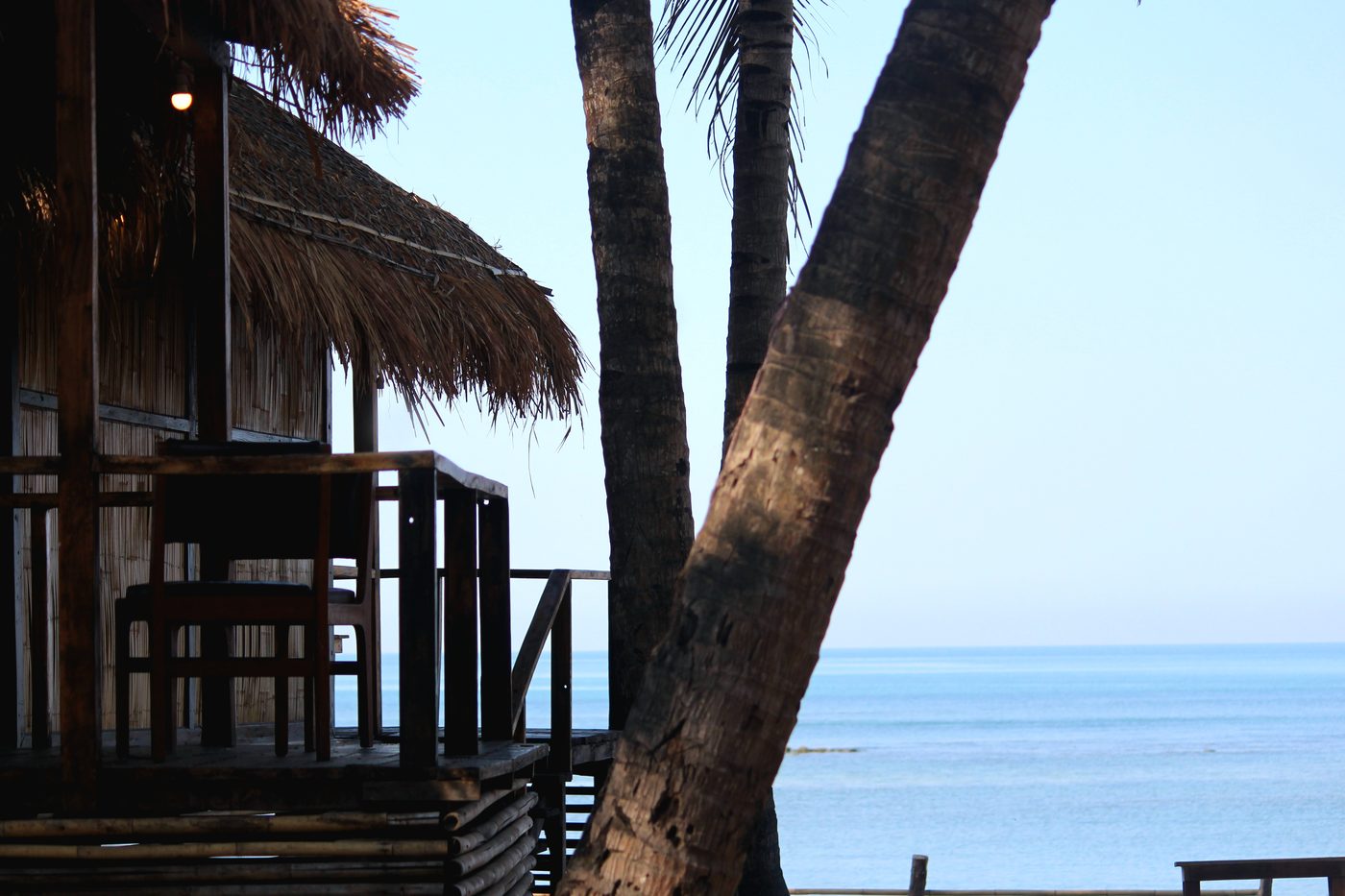 Beach hut framed by palm trees